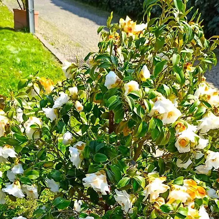 Lukas Con Il Cuore 3 Al Piano Terra E 1 In Taverna Merone