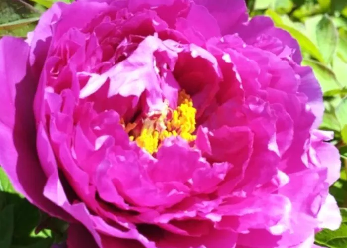 Lukas Con Il Cuore 3 6 Pers E Giardino Privato Merone