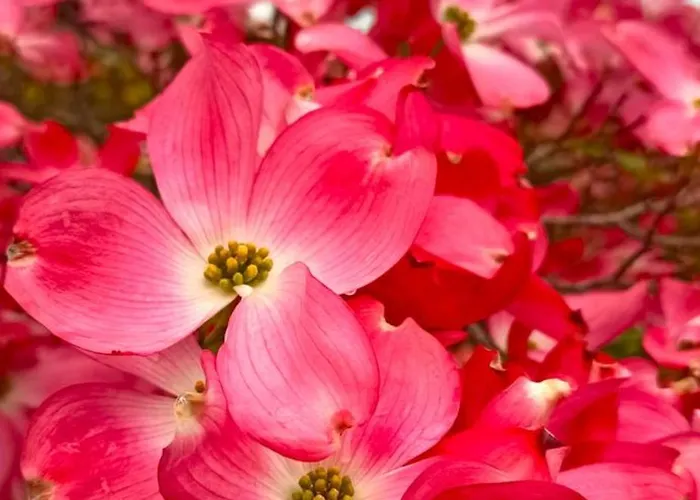 Lukas Con Il Cuore 3 6 Pers E Giardino Privato Lägenhet