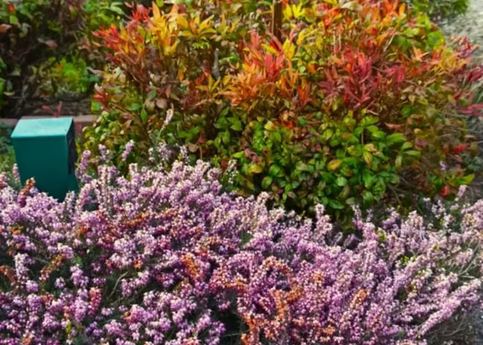 Lukas Con Il Cuore 3 6 Pers E Giardino Privato Merone