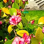 Lukas Con Il Cuore 3 6 Pers E Giardino Privato Apartmán *