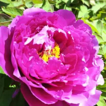 Lukas Con Il Cuore 3 6 Pers E Giardino Privato Мероне