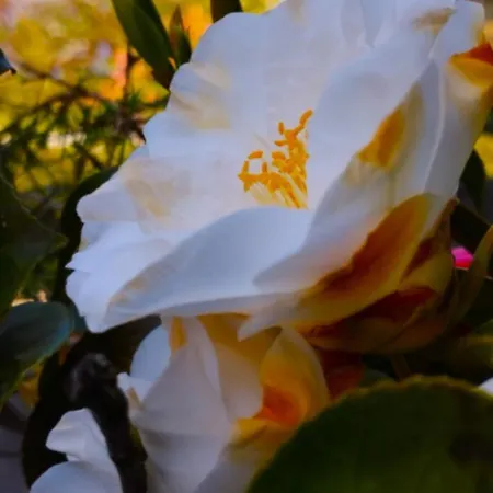 Lukas Con Il Cuore 3 6 Pers E Giardino Privato Апартаменты