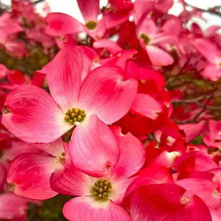 Lukas Con Il Cuore 3 6 Pers E Giardino Privato Апартаменты