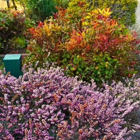 Lukas Con Il Cuore 3 Al Piano Terra E 1 In Taverna Merone