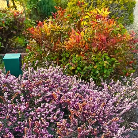 Lukas Con Il Cuore 3 6 Pers E Giardino Privato Апартаменты