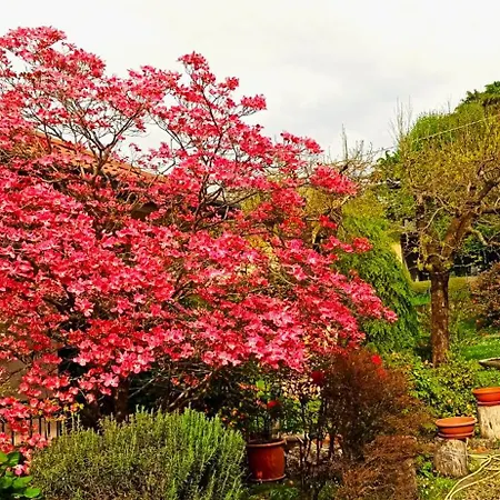 Lukas Con Il Cuore 3 6 Pers E Giardino Privato *