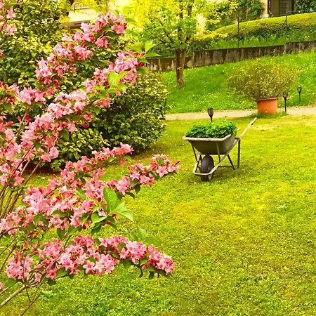 Апартаменты Lukas Con Il Cuore 3 6 Pers E Giardino Privato *